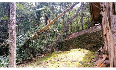 CMV-548-2 Casas campestres-Santa Elena-V.Mazo-Sector Frank