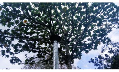 CMV-548-2 Casas campestres-Santa Elena-V.Mazo-Sector Frank