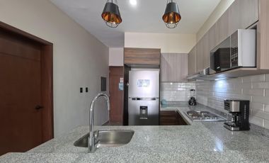 Departamento en  renta en Torre Millan, Las Gaviotas