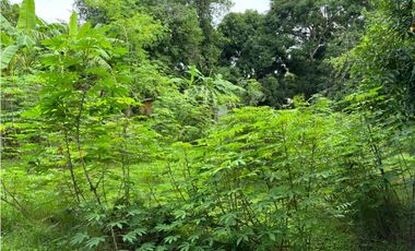 Terreno con dos casas en venta en Coronado, Nueva Gorgona