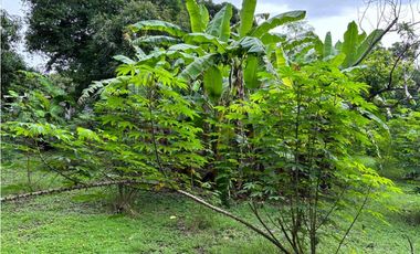 Terreno con dos casas en venta en Coronado, Nueva Gorgona