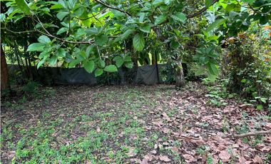 Terreno con dos casas en venta en Coronado, Nueva Gorgona