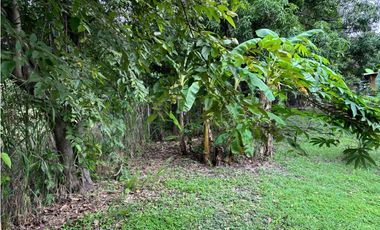 Terreno con dos casas en venta en Coronado, Nueva Gorgona