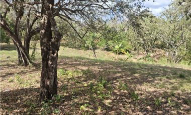LOTE COMERCIAL A LA VENTA CARRETERA PANAMERICANA RIO MAR SAN CARLOS