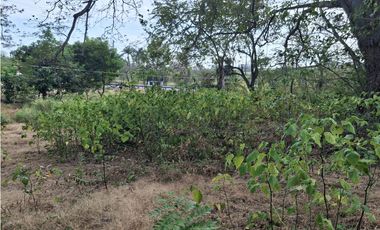 LOTE COMERCIAL A LA VENTA CARRETERA PANAMERICANA RIO MAR SAN CARLOS