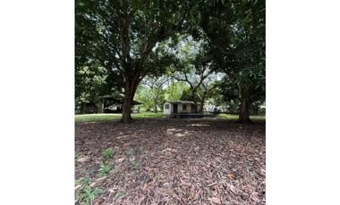 VENTA FINCA NUEVA GORGONA 15816M2 CERCA DE LA PLAYA MLD