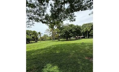 VENTA FINCA NUEVA GORGONA 15816M2 CERCA DE LA PLAYA MLD