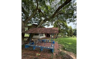 VENTA FINCA NUEVA GORGONA 15816M2 CERCA DE LA PLAYA MLD