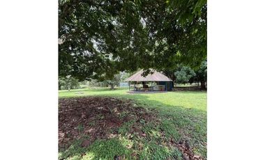 VENTA FINCA NUEVA GORGONA 15816M2 CERCA DE LA PLAYA MLD