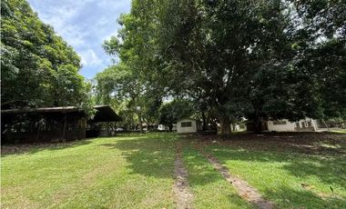 VENTA FINCA NUEVA GORGONA 15816M2 CERCA DE LA PLAYA MLD