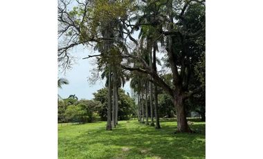 VENTA FINCA NUEVA GORGONA 15816M2 CERCA DE LA PLAYA MLD