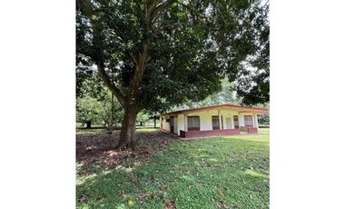 VENTA FINCA NUEVA GORGONA 15816M2 CERCA DE LA PLAYA MLD