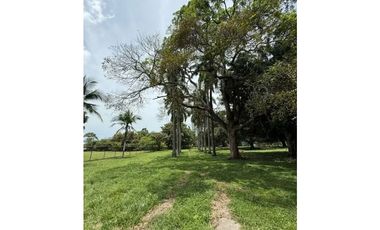 VENTA FINCA NUEVA GORGONA 15816M2 CERCA DE LA PLAYA MLD