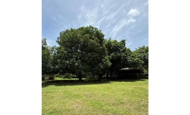 VENTA FINCA NUEVA GORGONA 15816M2 CERCA DE LA PLAYA MLD