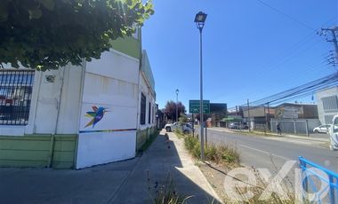 Local Comercial en Arriendo en Prieto Sur 993