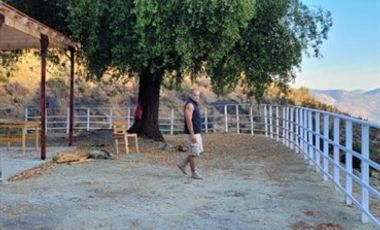 Agrícola en Venta en Parcela Agrícola de 5000m2 en los vilos con factibilidad real de Luz y agua.