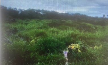 Agrícola en Venta en Pozo de Las Tobas, Esquinero