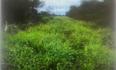 Agrícola en Venta en Pozo de Las Tobas, Esquinero