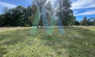 Parcela en Venta en Los Lagos