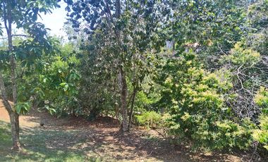 LOTE EN VENTA, COLINAS DE MIRAVALLE, JAMUNDÍ