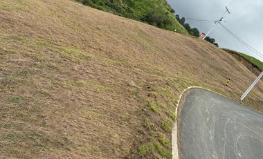 LOTE CAMPESTRE EN VENTA, MEDIO DAPA, YUMBO