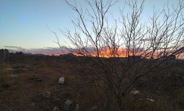 VENTA DE TERRENO DE 2500M2 COL. LOS NOGALES
