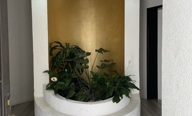 Casa amplia y con hermoso jardín