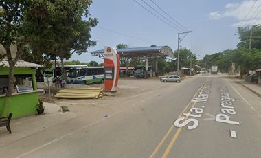 Lote Palomino