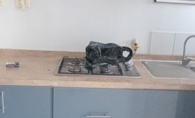 DEPARTAMENTO 3D 1B EN EL BOSQUE ARRIENDO