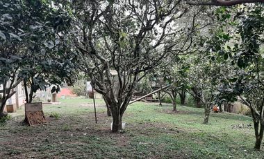 🌳 Gran oportunidad de inversión en el corazón de Silvania, Cundinamarca. Casalote de 1.800 m²