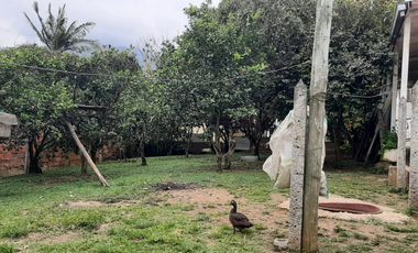 🌳 Gran oportunidad de inversión en el corazón de Silvania, Cundinamarca. Casalote de 1.800 m²