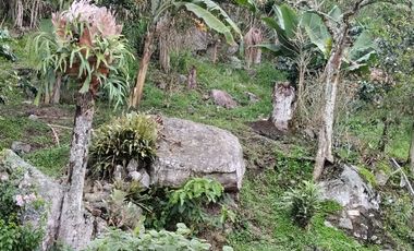 Vendo Finca en La Mesa, Cundinamarca – Perfecta para descanso o turismo. 1280 M2