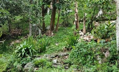 Vendo Finca en La Mesa, Cundinamarca – Perfecta para descanso o turismo. 1280 M2