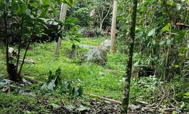 Vendo Finca en La Mesa, Cundinamarca – Perfecta para descanso o turismo. 1280 M2