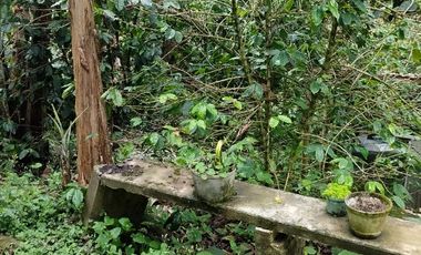Vendo Finca en La Mesa, Cundinamarca – Perfecta para descanso o turismo. 1280 M2