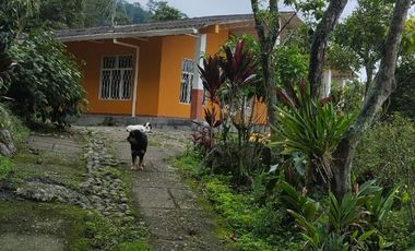 Vendo Finca en La Mesa, Cundinamarca – Perfecta para descanso o turismo. 1280 M2