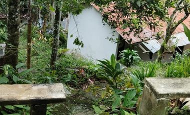 Vendo Finca en La Mesa, Cundinamarca – Perfecta para descanso o turismo. 1280 M2