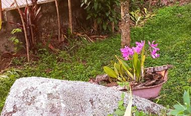 Vendo Finca en La Mesa, Cundinamarca – Perfecta para descanso o turismo. 1280 M2