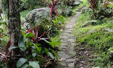 Vendo Finca en La Mesa, Cundinamarca – Perfecta para descanso o turismo. 1280 M2