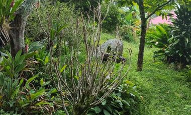 Vendo Finca en La Mesa, Cundinamarca – Perfecta para descanso o turismo. 1280 M2