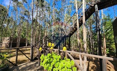 !! Hotel Lodge / Punta de Lobos !!