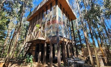 !! Hotel Lodge / Punta de Lobos !!