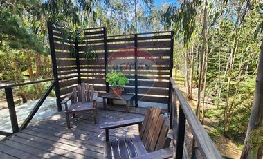 !! Hotel Lodge / Punta de Lobos !!