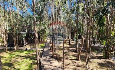 !! Hotel Lodge / Punta de Lobos !!