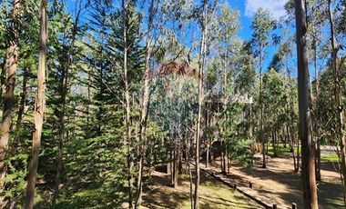 !! Hotel Lodge / Punta de Lobos !!