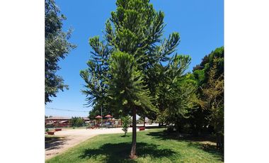 Tu hogar ideal te espera  ¡descúbrelo!