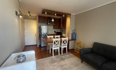 Departamento Amoblado en Arriendo en Arriendo Departamento Amoblado 2D/2B – Santa Isabel 431, Santiago.