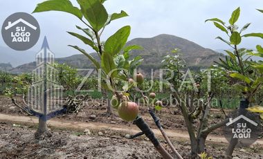Terreno en AZPITIA