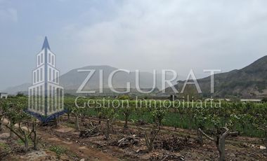 Terreno en AZPITIA