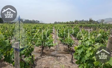 Terreno en AZPITIA